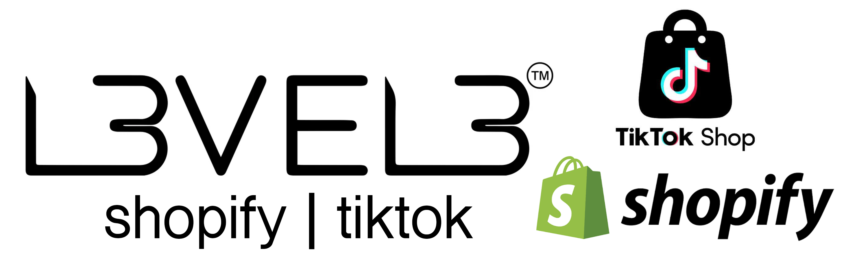 Shopify TikTok LV3